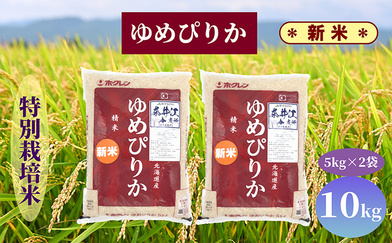 北海道奈井江町　特別栽培米　ゆめぴりか　10kg