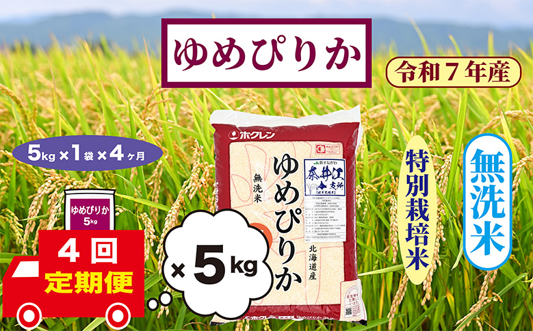【定期便4回】北海道奈井江町　特別栽培米　ゆめぴりか　5kg【無洗米】
