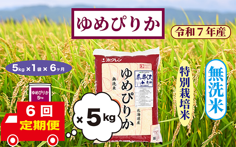 【定期便6回】北海道奈井江町　特別栽培米　ゆめぴりか　5kg【無洗米】
