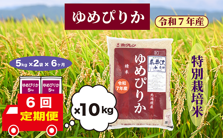 【定期便6回】北海道奈井江町　特別栽培米　ゆめぴりか　10kg