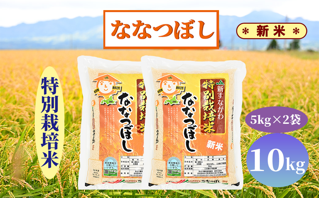 北海道奈井江町　特別栽培米　ななつぼし　10kg