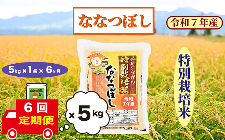 【定期便6回】北海道奈井江町　特別栽培米　ななつぼし　5kg