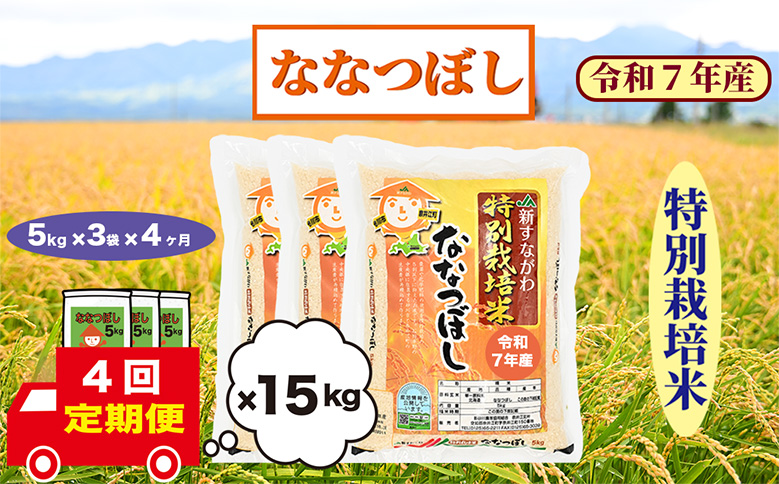 【定期便4回】北海道奈井江町　特別栽培米　ななつぼし　15kg
