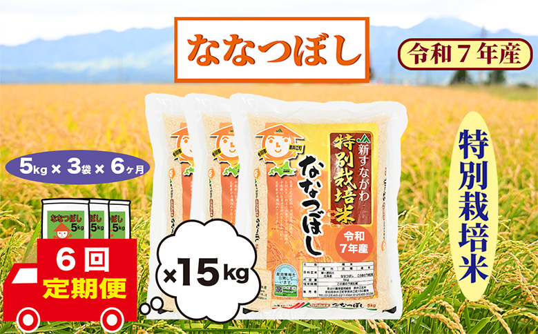 【定期便6回】北海道奈井江町　特別栽培米　ななつぼし　15kg