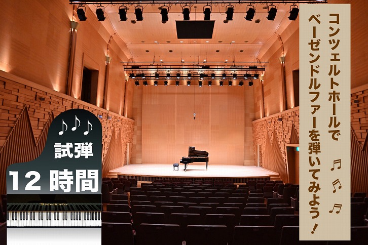 北海道奈井江町　コンチェルトホール　ベーゼンドルファー　ピアノ【12時間】試弾チケット