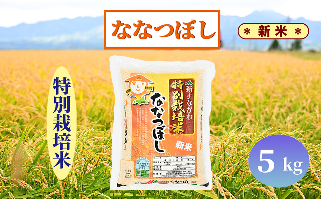 北海道奈井江町　特別栽培米　ななつぼし　5kg