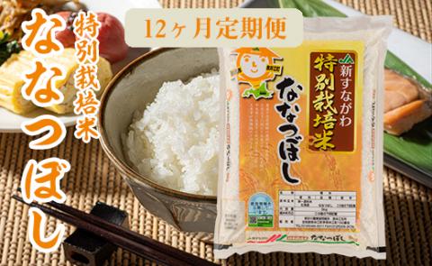 『特別栽培米ななつぼし5kg』12ヶ月定期便[令和2年産]
