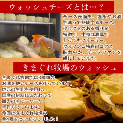 北海道産ナチュラルチーズ4種　きまぐれ牧場　ウォッシュチーズ　お酒に合うおつまみ、晩酌に【配送不可地域：離島】