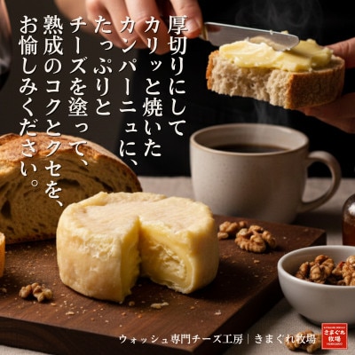 北海道産生乳100%|多数メディア紹介 大人の贅沢ウォッシュチーズ食べ比べ2種|きまぐれ牧場【配送不可地域：離島】