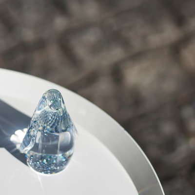 スフェラーペンギン