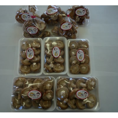 生しいたけ【配送不可地域：離島】