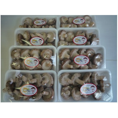 生しいたけ　170gパック×8【配送不可地域：離島】