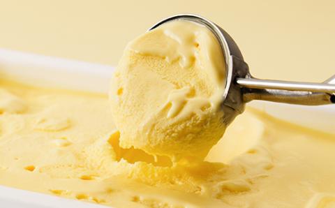 長沼ジェラート ゴールデンバニラアイス 4L【配送不可地域：離島】