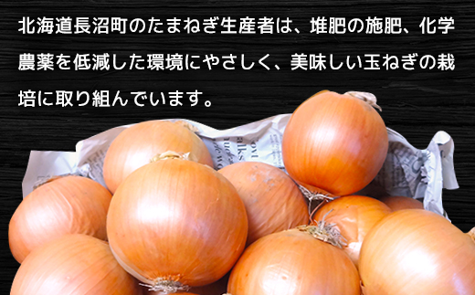 北海道長沼町産玉ねぎL大サイズ10kg