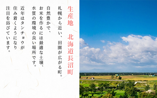 【令和7年産 新米】北海道長沼産 ゆめぴりか 5kg 精米 特A 契約栽培米