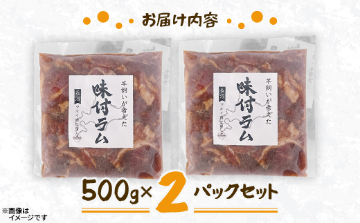 【北海道長沼町】味付ラムジンギスカン　500g×2パックセット【配送不可地域：離島】