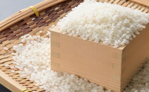 【特A・1等級】北海道産ななつぼし 白米5kg 北海道長沼町産【配送不可地域：離島】