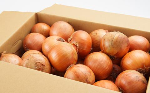 【2024年10月下旬より順次発送予定】玉ねぎ10kg