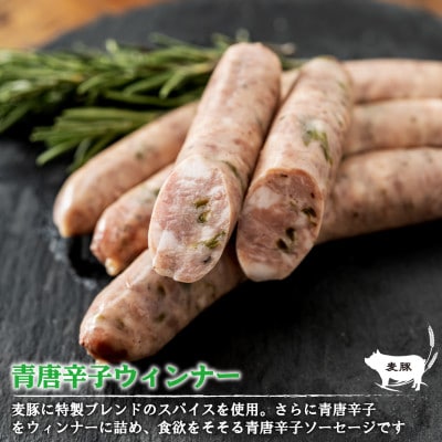 北島農場のウインナーセット6種類セット【配送不可地域：離島】