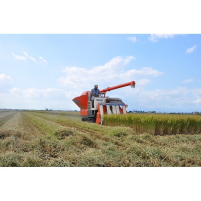 皇室献上米　令和4年産北海道産ゆめぴりか 5kg