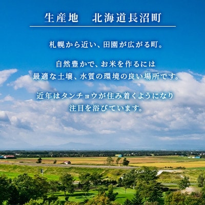 【令和7年産 新米】北海道長沼産 ななつぼし 10kg(5kg×2袋) 精米 特A 契約栽培米