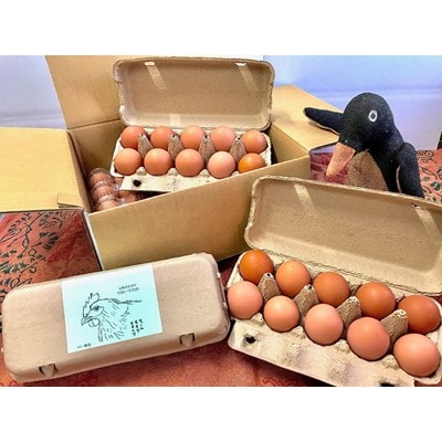 【毎月定期便】ファームモチツモタレツの平飼い自然有精卵30個 全3回【配送不可地域：離島】