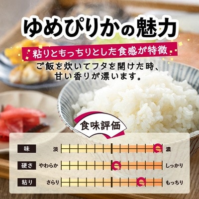 【毎月定期便】特別栽培米 北海道産ゆめぴりか 5kg精米全12回