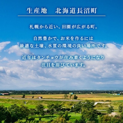 【毎月定期便】北海道長沼産 ななつぼし 5kg 精米 特A 契約栽培米全12回