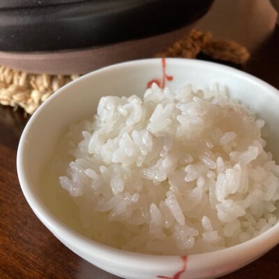 2023年2月発送開始『定期便』【特A・1等級】北海道産ゆめぴりか 白米5kg 長沼町産 全6回