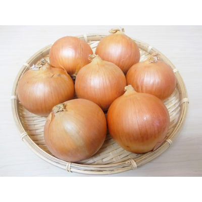 北海道長沼町産玉ねぎL大サイズ10kg