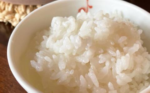 【特A・1等級】北海道産ななつぼし 白米10kg 北海道長沼町産【配送不可地域：離島】