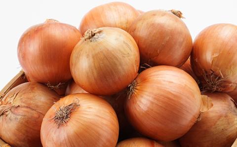 【2024年10月下旬より順次発送予定】玉ねぎ10kg