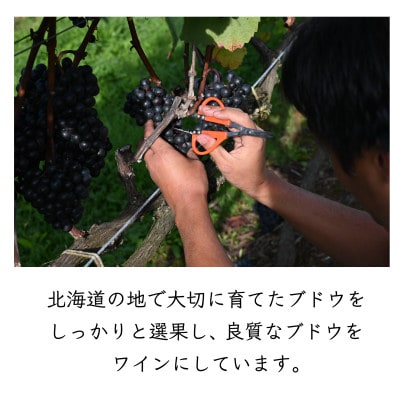 MARO Wines ワイン 赤と白 計2本セット【配送不可地域：離島】
