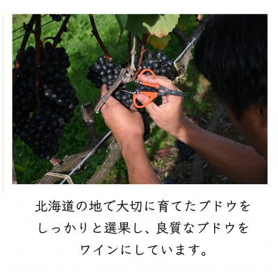 MARO Wines 微発泡ワイン 白とロゼ 2本セット【配送不可地域：離島】