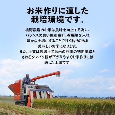 【発送月固定定期便】10月より順次発送　皇室献上米　北海道産ゆめぴりか 5kg精米全6回