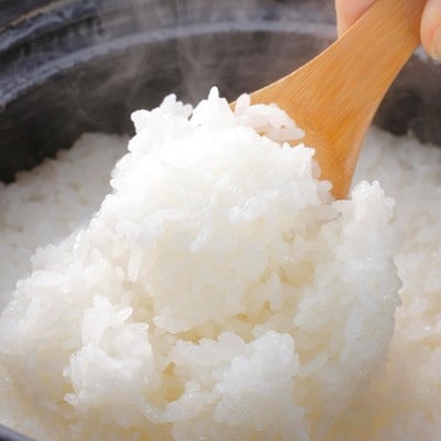 【毎月定期便】特別栽培米 北海道産ゆめぴりか 5kg精米全12回