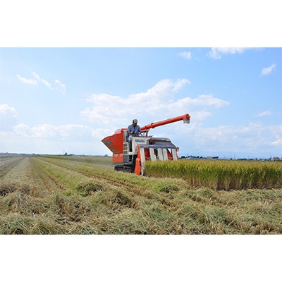 【毎月定期便】皇室献上米　北海道産ゆめぴりか 5kg精米全12回