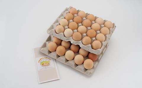 【北海道産】毎日食べたくなる平飼いたまご40個【配送不可地域：離島】