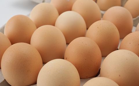 【北海道産】毎日食べたくなる平飼いたまご80個【配送不可地域：離島】