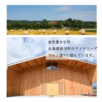 MARO Wines ワイン 赤と白 計2本セット【配送不可地域：離島】