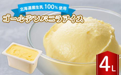 長沼ジェラート ゴールデンバニラアイス 4L【配送不可地域：離島】
