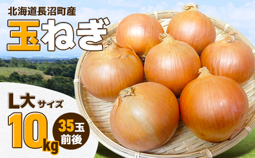 北海道長沼町産玉ねぎL大サイズ10kg