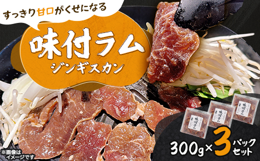 【北海道長沼町】味付ラムジンギスカン　300g×3パックセット【配送不可地域：離島】