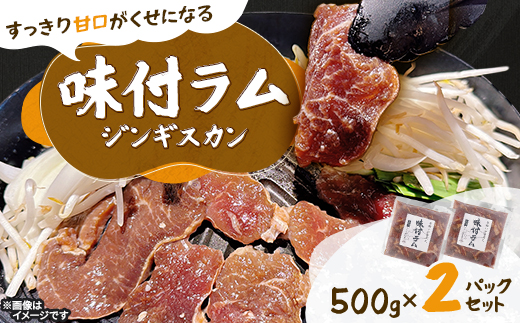 【北海道長沼町】味付ラムジンギスカン　500g×2パックセット【配送不可地域：離島】