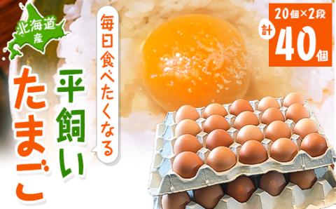 【北海道産】毎日食べたくなる平飼いたまご40個【配送不可地域：離島】