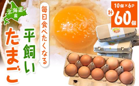 【北海道産】毎日食べたくなる平飼いたまご60個【配送不可地域：離島】