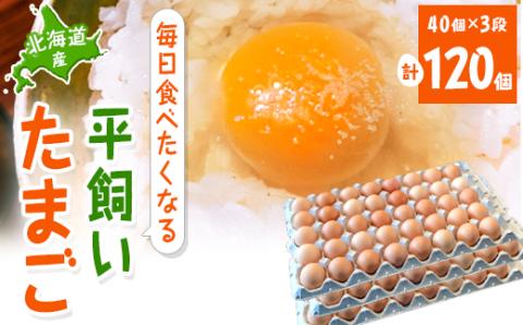 【北海道産】毎日食べたくなる平飼いたまご120個【配送不可地域：離島】