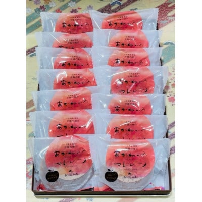 北海道長沼町 菓子匠森下松風庵のあかねいろマドレーヌ 14個【配送不可地域：離島】