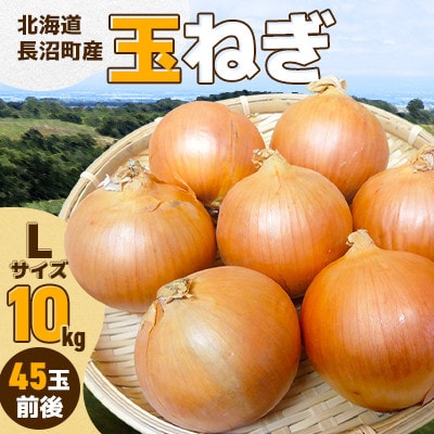 北海道長沼町産玉ねぎLサイズ 10kg