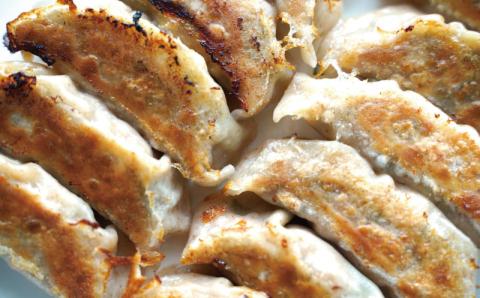 自家製餃子 北海道産食材にこだわった「tokitto GYOZA」36個